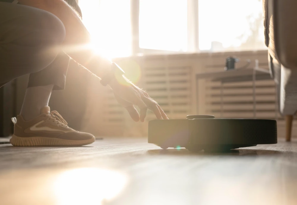 self cleaning vacuum robot